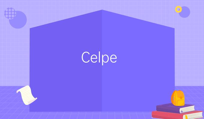 Celpe-Bras：独特的巴葡托福考试
