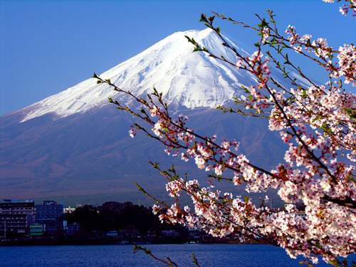 “言う与いう”汉字和假名的区别