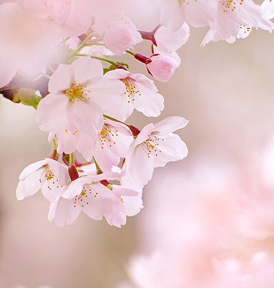 韩语发音的规则是什么样的