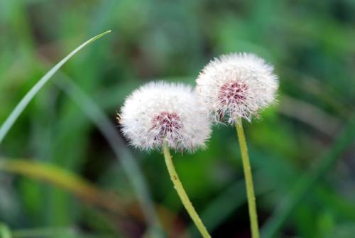 法语基础语法总结