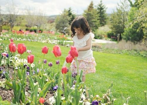 西班牙语考试价格