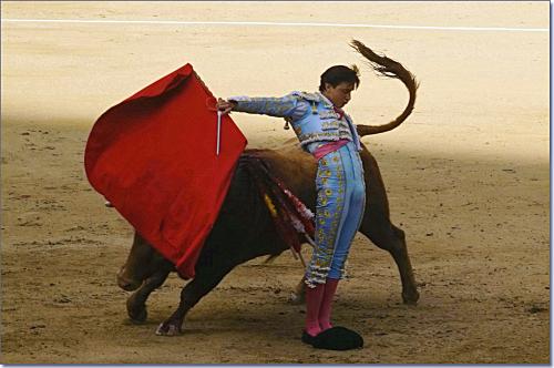 西班牙语专八高频词汇