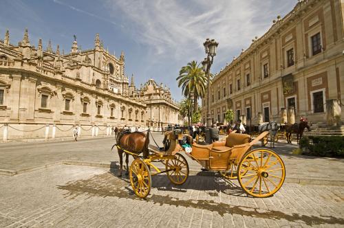 西班牙语翻译现状如何?