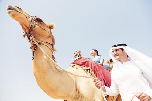 阿拉伯语辅导课程