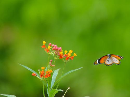 西班牙语机构哪家好?