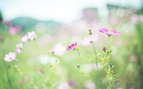 西班牙语基础语法学习