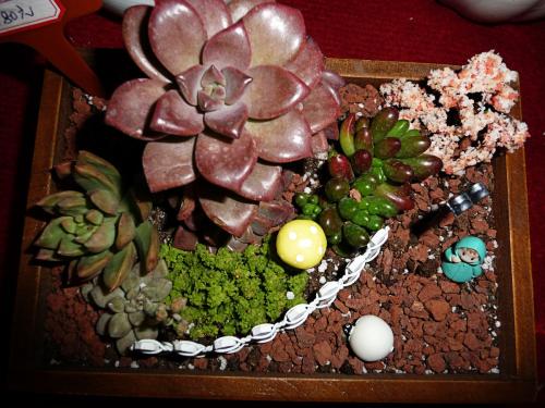 零基础法语培训机构