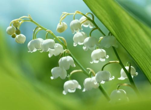 哪家意大利语培训班好