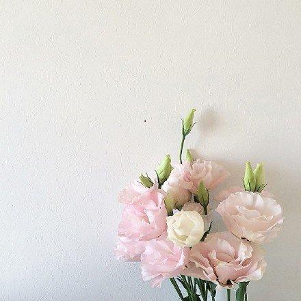 德语a1培训哪家好