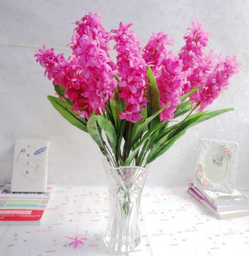 德语b1培训学校