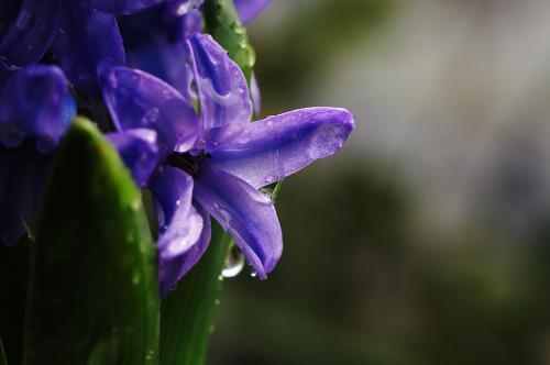 德语的学习方法