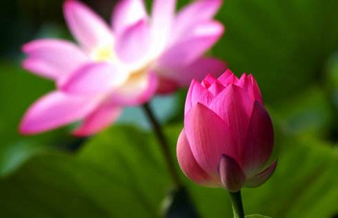 实用西班牙语:出入境常用语