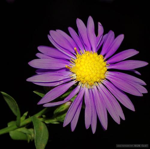 德语从零学习有什么方法