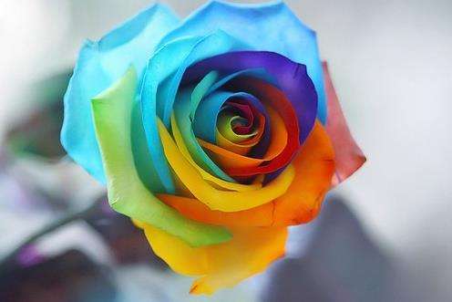 学西语零基础课程