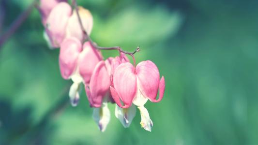 西班牙语难学吗,难学在哪里?