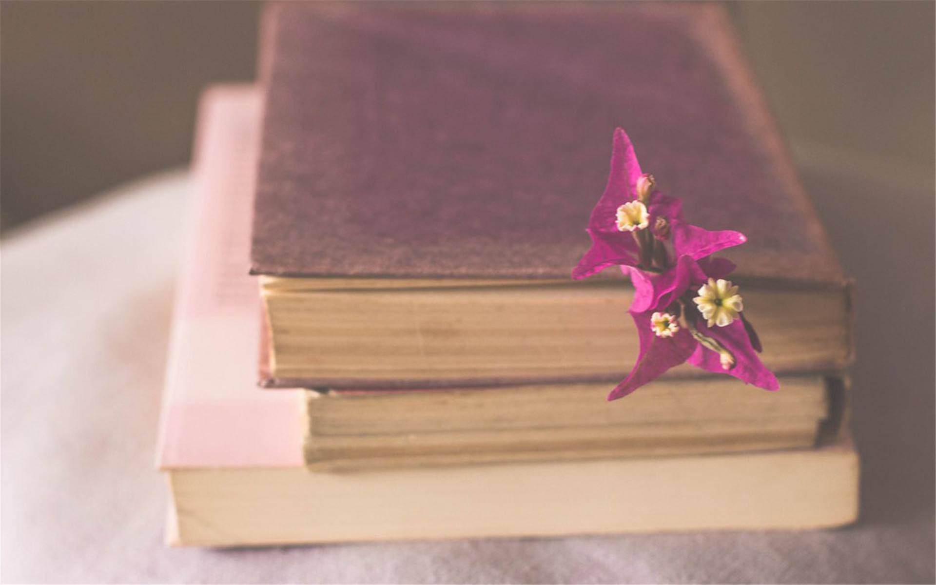 法语初步学习:介词「à」的用法