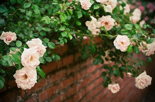 西班牙语初级语法学习