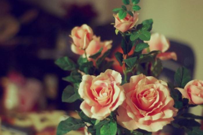 专业西语培训学校