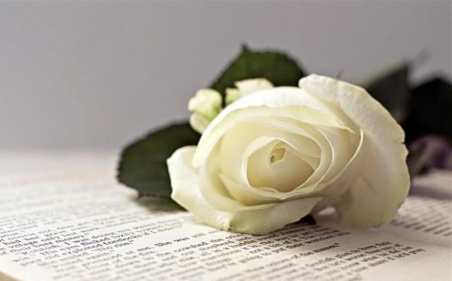 西语难学在哪里?