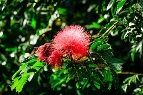 阿拉伯语零基础培训班