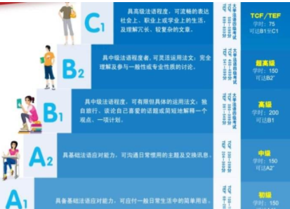 tef法语课程有什么?