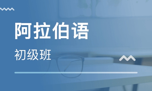 阿拉伯语哪里培训靠谱?