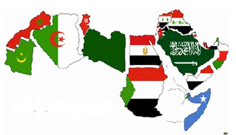 为什么选择到阿拉伯国家留学？