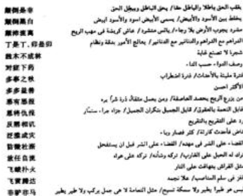 常用阿拉伯语有什么?