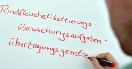 德语基础入门培训要多久?