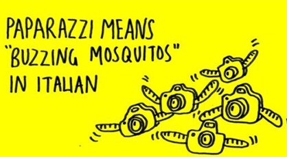 意大利语和法语哪个好学?