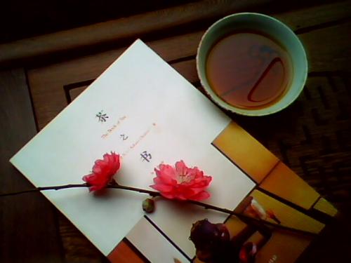 阿拉伯语去哪里学