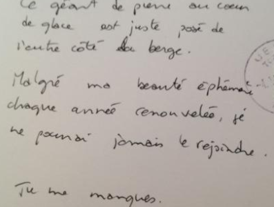 法语考试等级培训班哪里有?法语考试等级培训班多少钱?