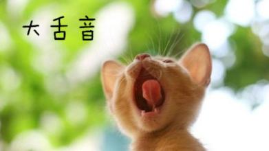 学习西班牙语如何入门