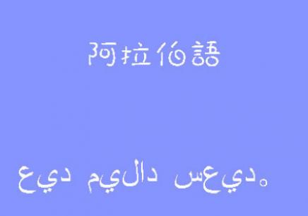 学阿拉伯语要多少钱