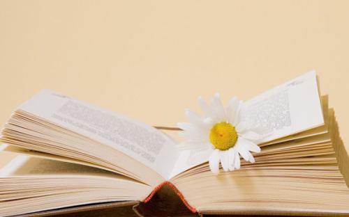 葡萄牙语出国班