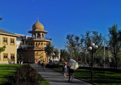 为什么说在阿拉伯留学“智慧是无穷的”?