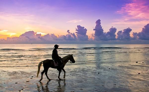 泰语中有哪些格言