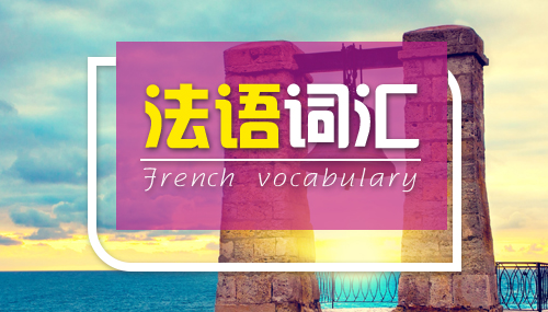 法语中的常用词汇！