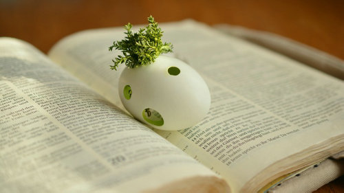 德语短文:更好的一半