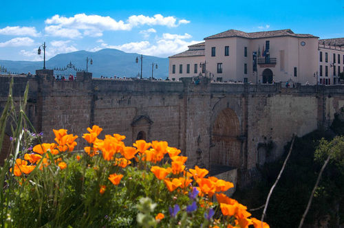 学西班牙语有什么好处