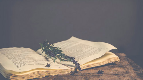 德语冠词和人称代词