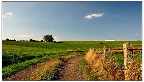 选择法国学校时要注意哪些误区