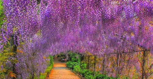 德语学习:修饰法律的德语动词