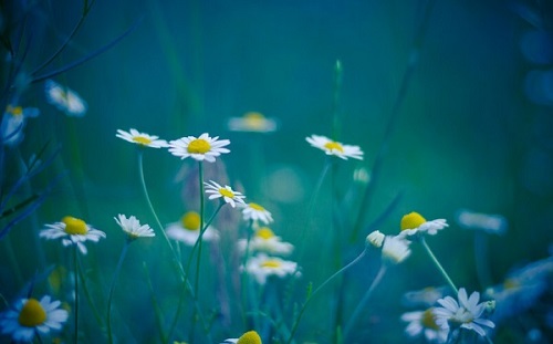 西语语法:新形容词