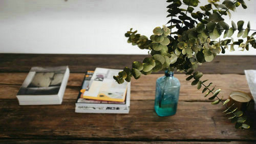 西班牙语自学经验