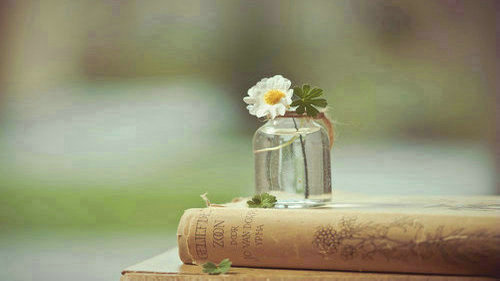 日语语法:状态和形态