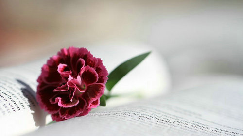 德语动词erschrecken的用法