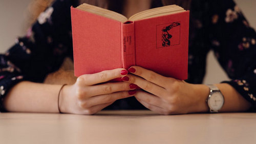 伊索寓言-法语版:狼和狐狸