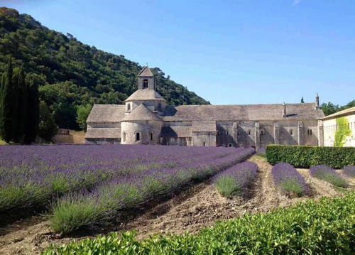 去法国留学需要多少费用