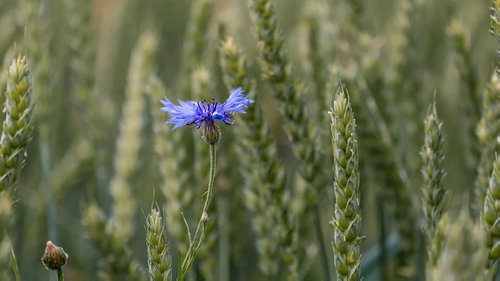 西班牙语趣味语句